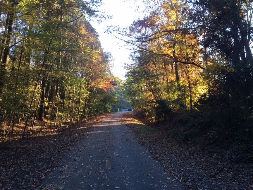 A forested section of the American Tobacco Trail, in 2013.